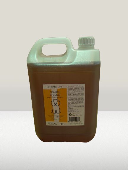 img20240528091831 removebg preview