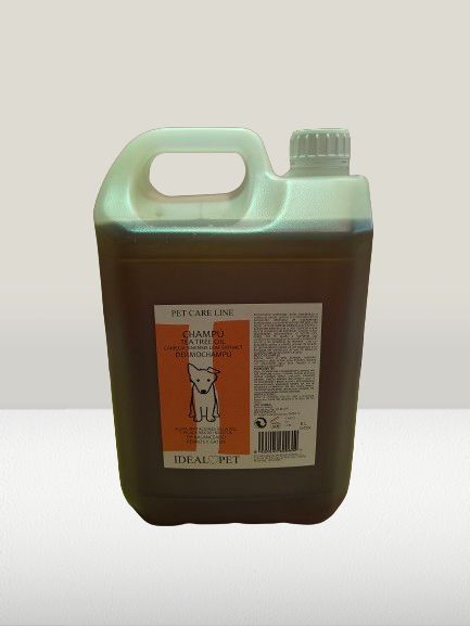 img20240528091919 removebg preview