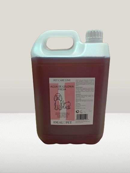 img20240528091635 removebg preview