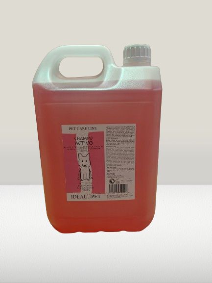 img20240528091934 removebg preview