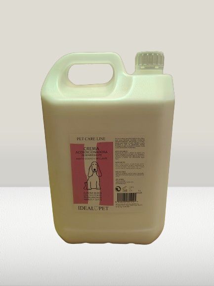 img20240528092013 removebg preview