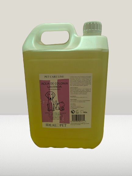 img20240528091801 removebg preview