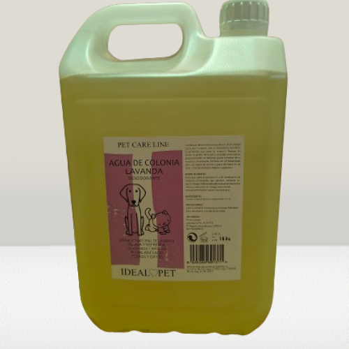 img20240528091801 removebg preview