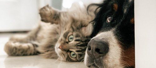 638877db8309b.r d.781 1101 6267