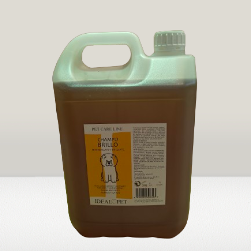 img20240528091831 removebg preview