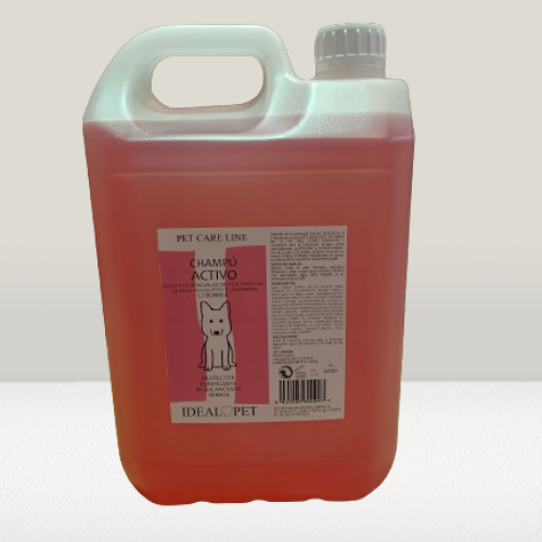 img20240528091934 removebg preview