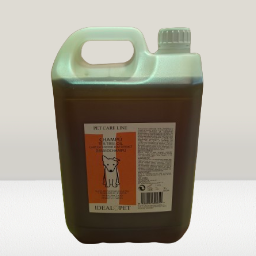 img20240528091919 removebg preview